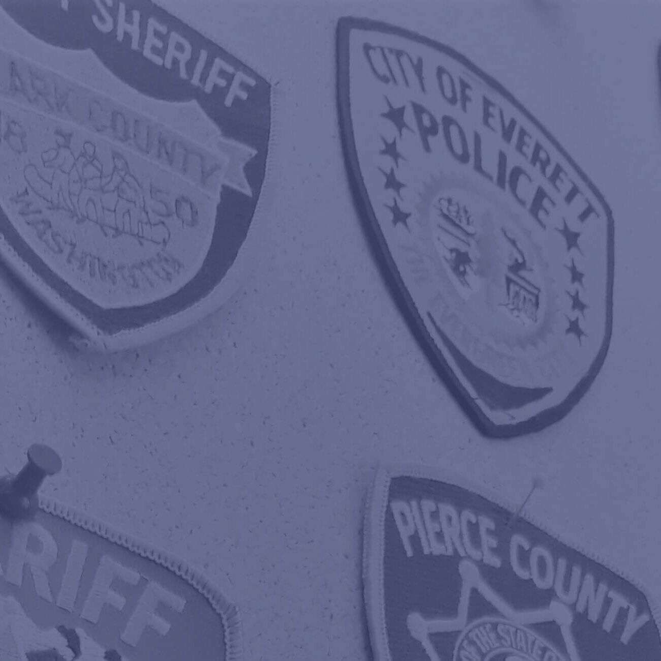 fc-e badges
